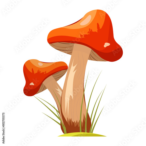 Autumn mushroom. Raw red wild edible or poisonous mushroom. Element of poster and banner designs for gourmets, diets, cooking. Bright vector isolated icon.