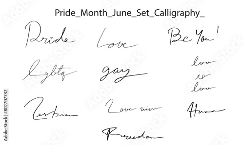 Pride gay lesbian june month rainbow calligraphy hand lettering equality design text font typography parade black color government human right support print lgbtq sex diversity quote festival politic 