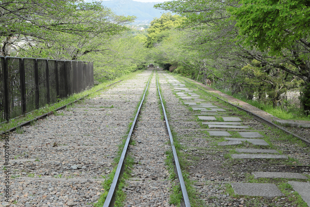 Fototapeta premium 京都 蹴上インクライン