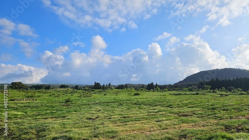 sky  landscape  grass  field  nature  summer  