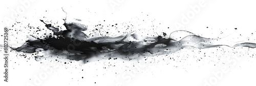 Black and white watercolor paint splash on transparent background.
