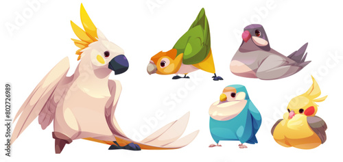 Cute funny parrot characters set. Cartoon vector collection of different colorful friendly exotic bird species with beak, wing and tales with multicolored feathers. Jungle exotic animals and pets.