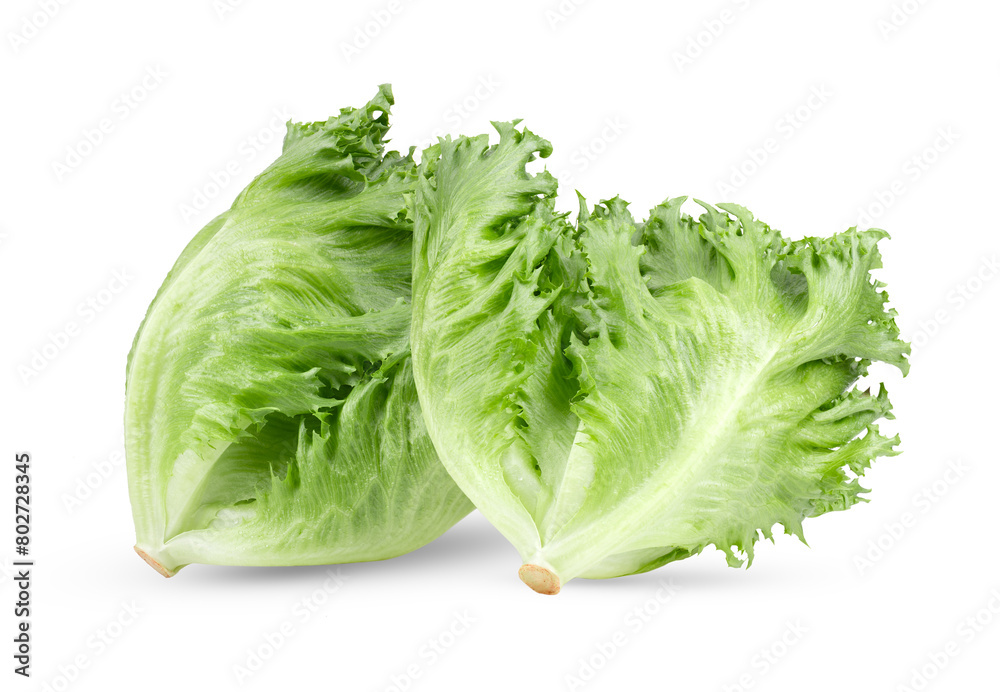 fresh Frillice Iceberg Lettuce on transparent png fresh Frillice Iceberg Lettuce on transparent png