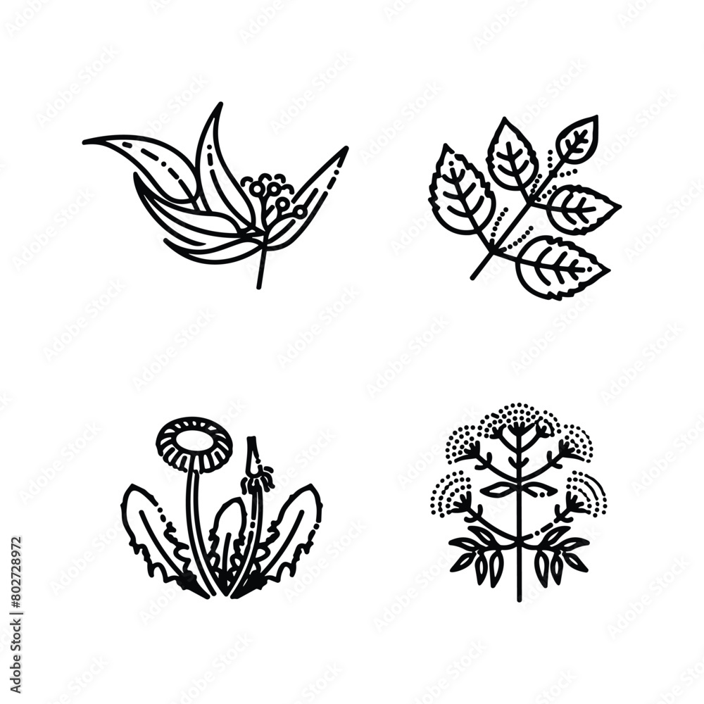 Obraz premium Icon set of flower. Editable vector pictograms isolated on a white background.