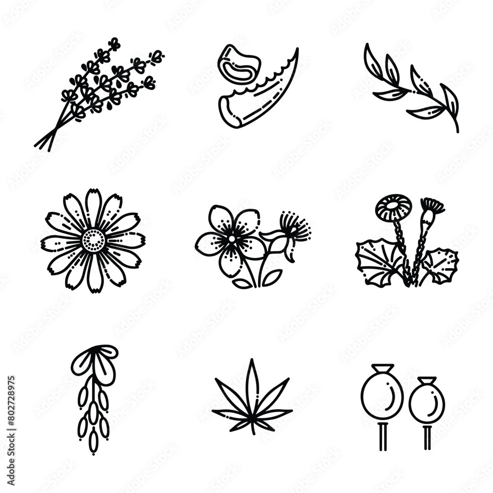 Icon set of flower. Editable vector pictograms isolated on a white background.