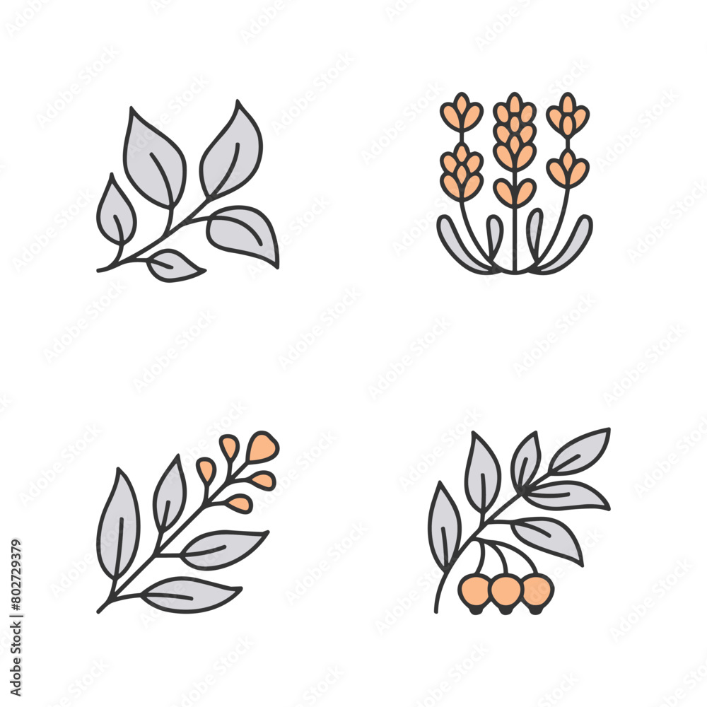 Fototapeta premium Icon set of flower. Editable vector pictograms isolated on a white background.