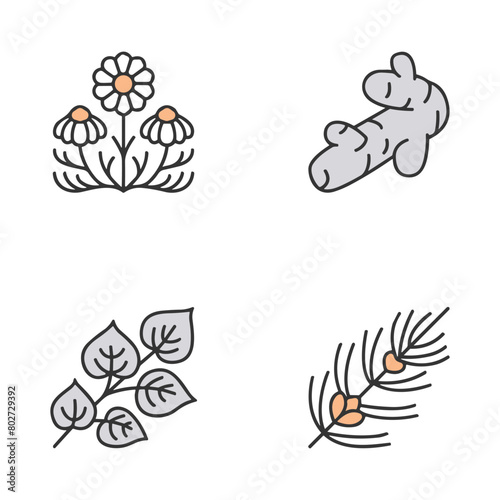 Icon set of flower. Editable vector pictograms isolated on a white background.