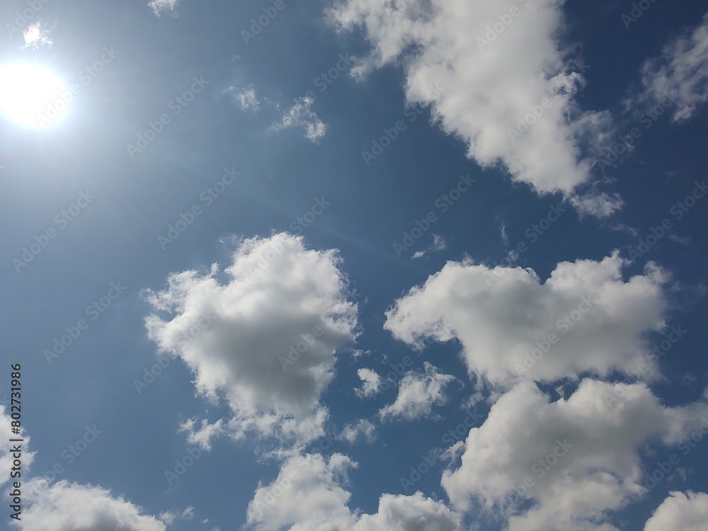 Obraz premium 東京のそら(24.5.2)