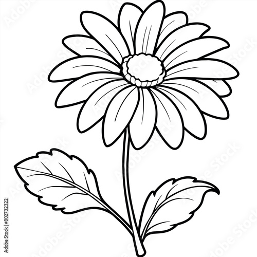 Daisy flower plant outline illustration coloring book page design, Daisy flower plant black and white line art drawing coloring book pages for children and adults