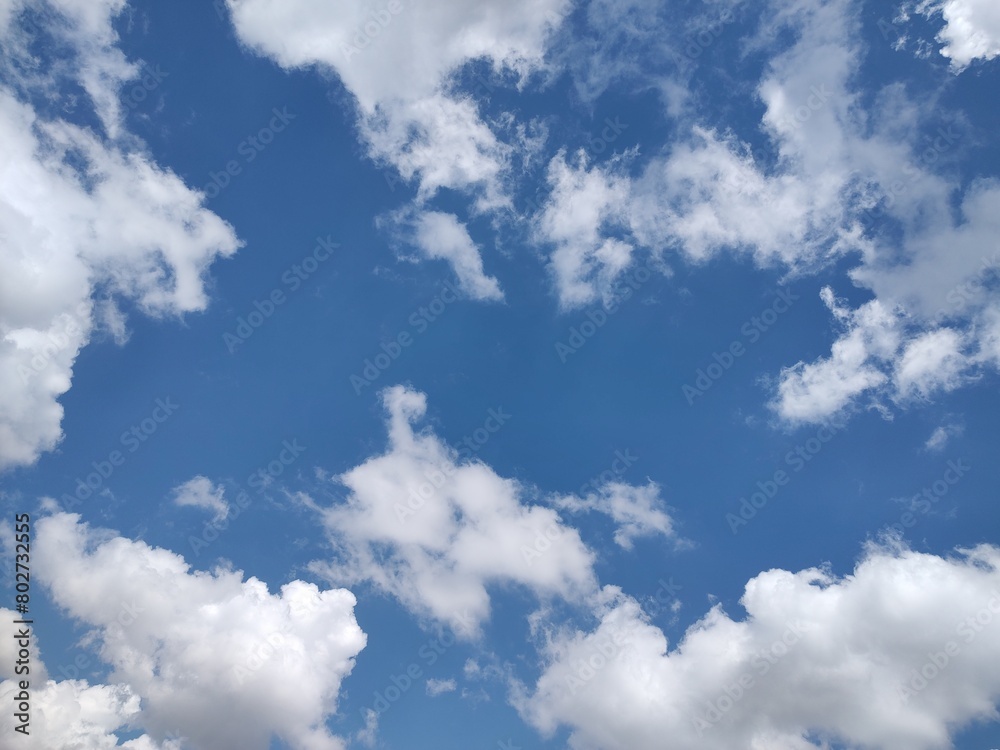 Obraz premium 東京のそら(24.5.2) 