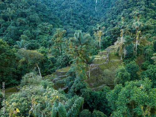 Hidden ancient ruins of Tayrona civilization Ciudad Perdida in the heart of the Colombian jungle. Aerial view from above. Lost city of Teyuna. Santa Marta, Sierra Nevada mountains, Colombia wilderness