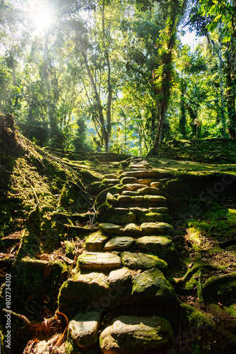 Stone stairs in hidden ancient ruins of Tayrona civilization Ciudad Perdida in heart of the Colombian jungle Lost city of Teyuna. Santa Marta  Sierra Nevada mountains  Colombia wilderness