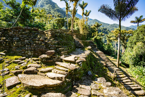 Stone stairs in hidden ancient ruins of Tayrona civilization Ciudad Perdida in heart of the Colombian jungle Lost city of Teyuna. Santa Marta, Sierra Nevada mountains, Colombia wilderness photo
