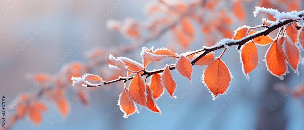 Frozen branch with autumn leaves autumn winter. AI-Generated Image Frozen branch with autumn leaves autumn winter. AI-Generated Image