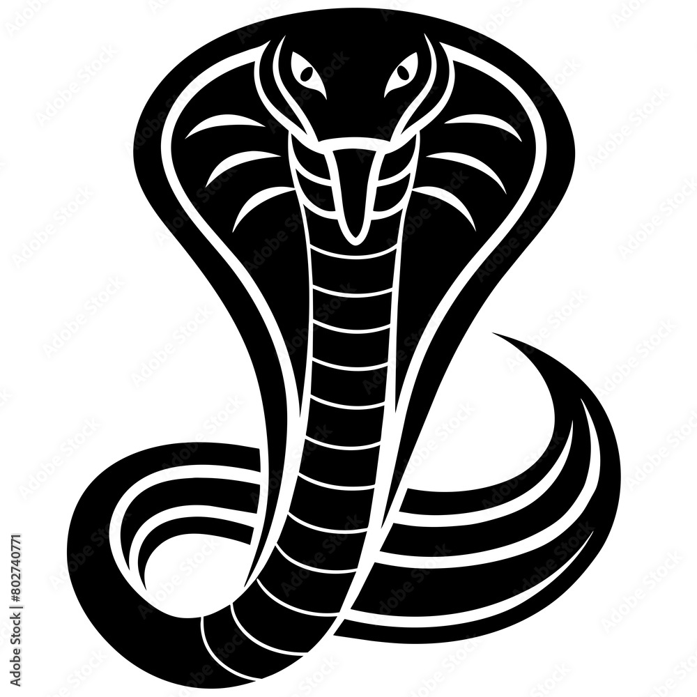 Fototapeta premium snake illustration