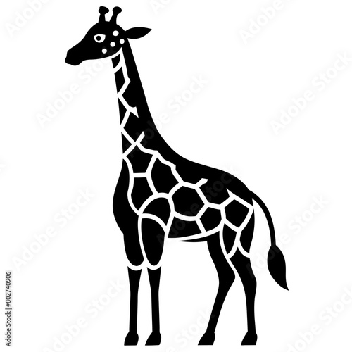 Fototapeta Naklejka Na Ścianę i Meble -  giraffe illustration