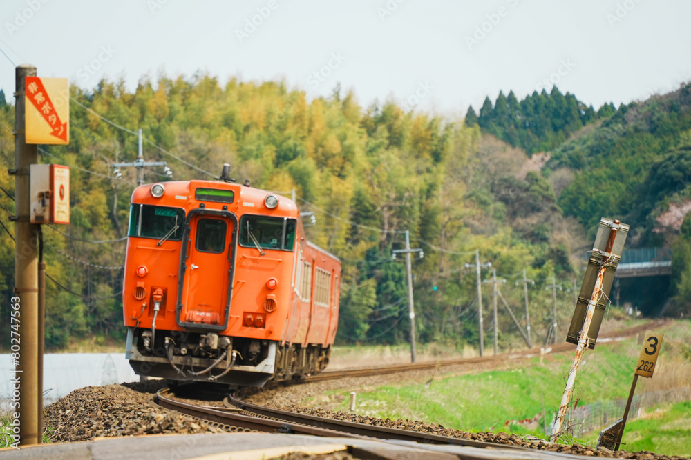 Obraz premium 自然の中を走る鉄道