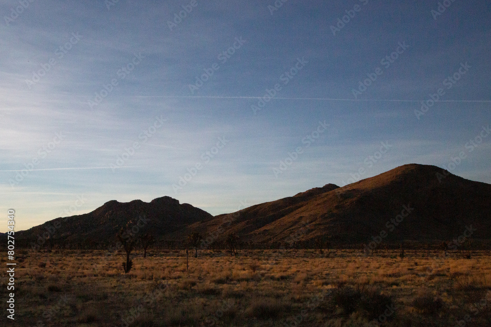 Fototapeta premium Dusk light on desert mountains with Joshua trees