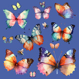 butterfly Background