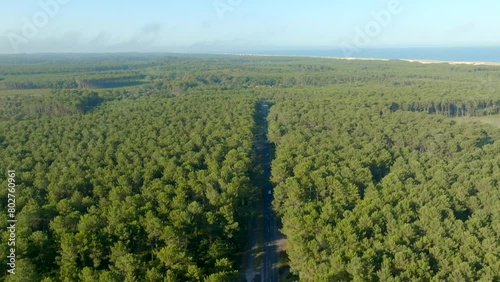 A straight road between Pine trees leading to the ocean filmed with a drone, Les Landes photo