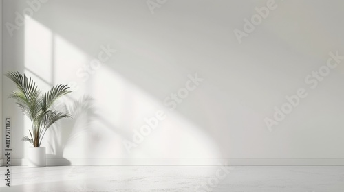 Minimalist Interior Design with Sunlight and Potted Plant. Horizontal banner with copy space © Jullia