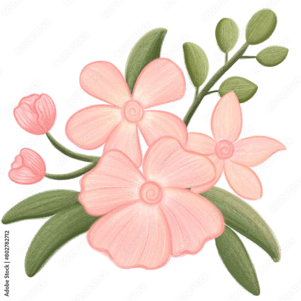 Obraz premium pink flower isolated on white background