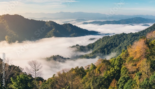 autumn season forest and nature landscape view of mountain background  natural scenery in morning time with fog over the hill  outdoor travel by hiking concept. Generative AI