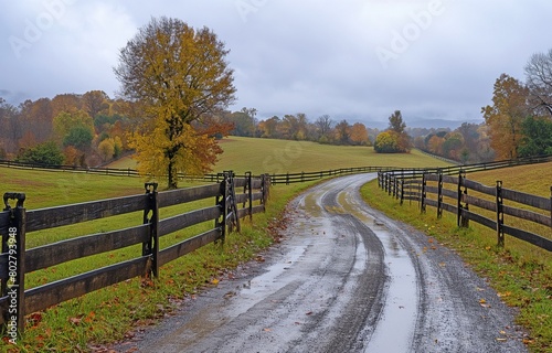 A farm in rural Rockbridge County, Buena Vista, Virginia, with a fence and a foggy fall day, as well as a dirt road driveway on a hill photo