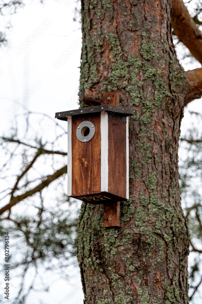 Bird house on tree trunk Kumla Sweden Bird house on tree trunk Kumla Sweden