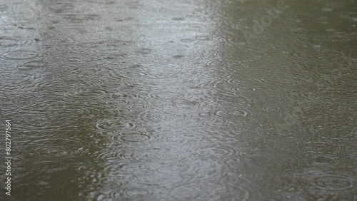 Rain drops falling on a puddle outdoors.