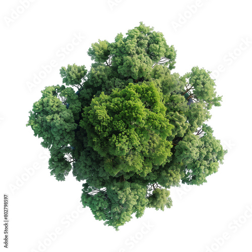 Top view of green trees isolated on transparent background