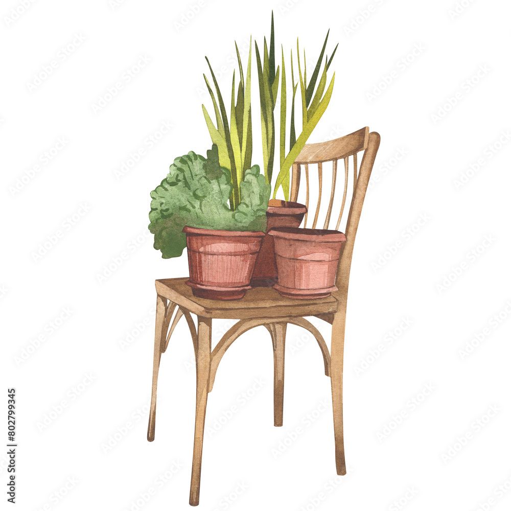 Antique chair with flowers and cacti in clay pots. Summer rural still life. Horticulture. Watercolor illustration. Antique chair with flowers and cacti in clay pots. Summer rural still life. Horticulture. Watercolor illustration.