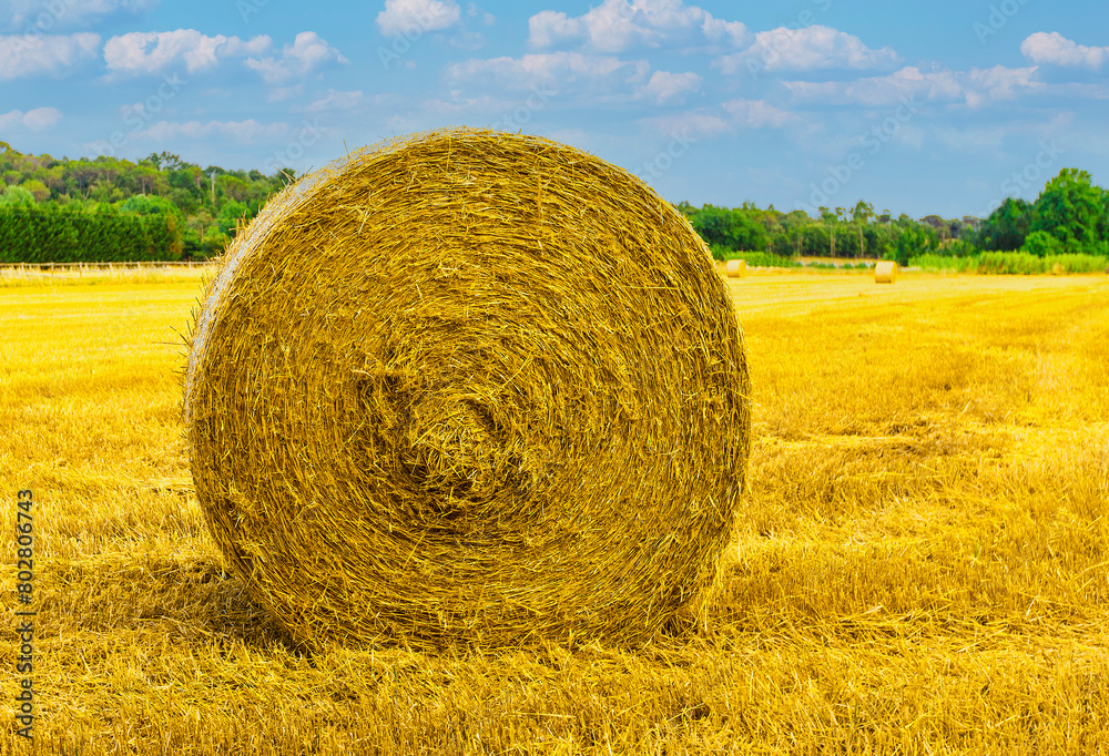 Straw yellow ball with blue sky on soft sunlight Straw yellow ball with blue sky on soft sunlight