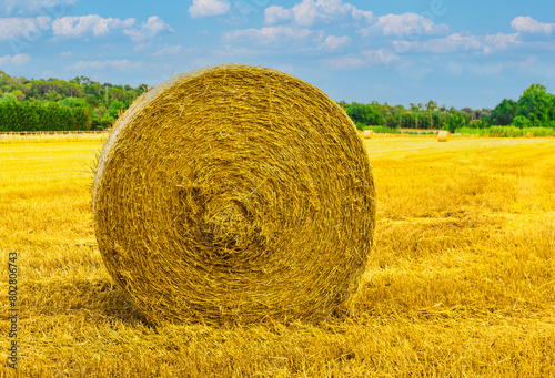 Straw yellow ball with blue sky on soft sunlight