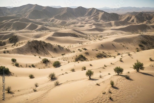 sand dunes in park