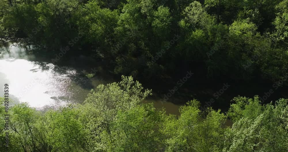 Wolf river flowing through lush greenery in collierville, tennessee, sunlight glinting on water, aerial view Wolf river flowing through lush greenery in collierville, tennessee, sunlight glinting on water, aerial view