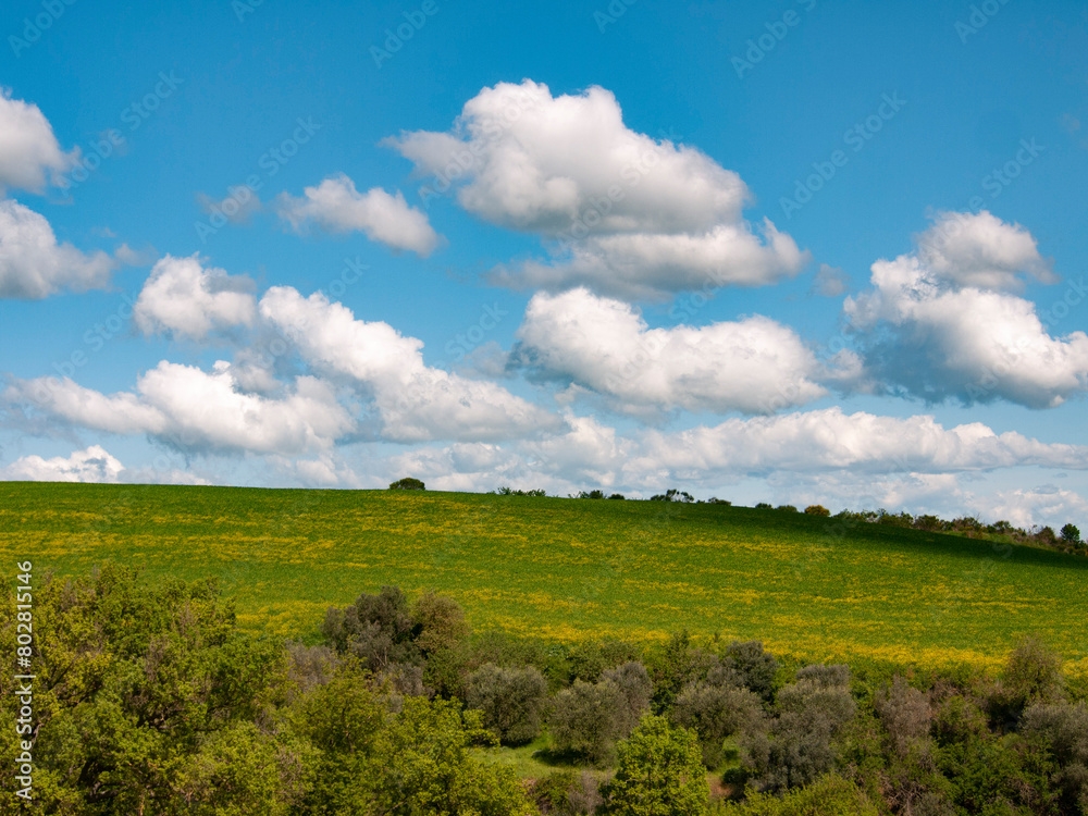 Italia, Toscana, provincia di Siena, Pienza. La campagna della Val d'Orcia. Italia, Toscana, provincia di Siena, Pienza. La campagna della Val d'Orcia.