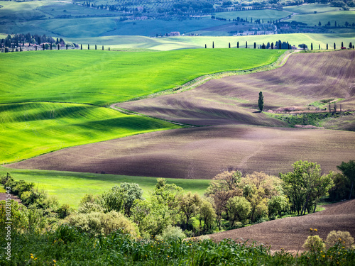 Italia, Toscana, provincia di Siena, Pienza. La campagna della Val d'Orcia. photo