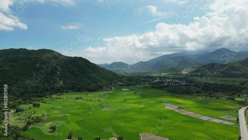 Wallpaper Mural rice fields, mountains, sky, clear weather Torontodigital.ca