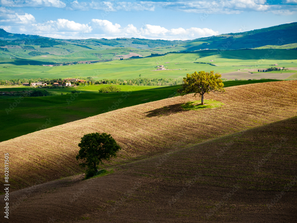 Italia, Toscana, provincia di Siena, Pienza. La campagna della Val d'Orcia.