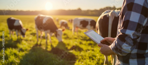 young farmer use tablet in the cow farm photo