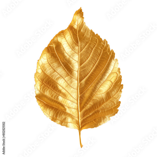 Gold aspen leaf