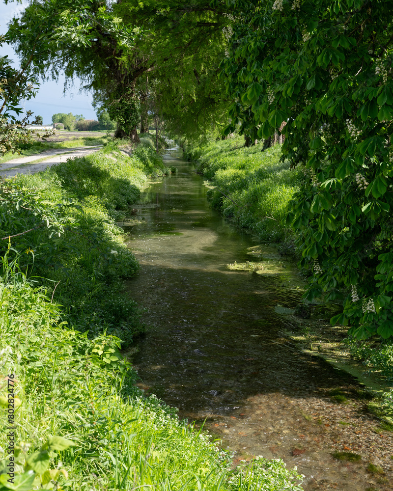 Small stream near crop fields