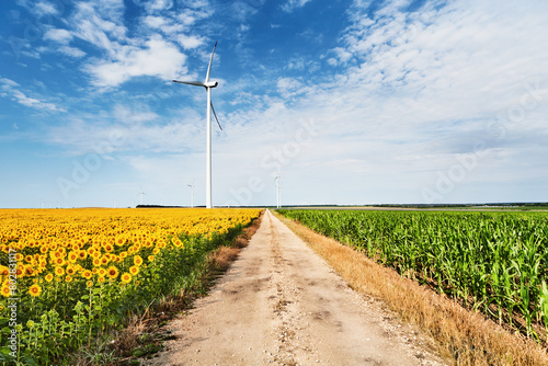 Wind turbines among agricultural fields in Bulgaria