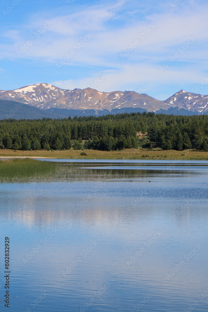 Lake reflection 