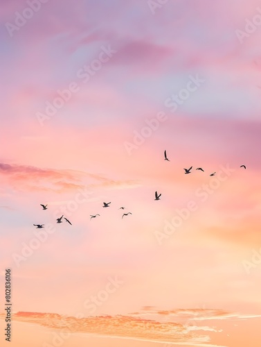 Flock of Birds Soaring Gracefully Across Pastel Hued Sunset Sky © tantawat