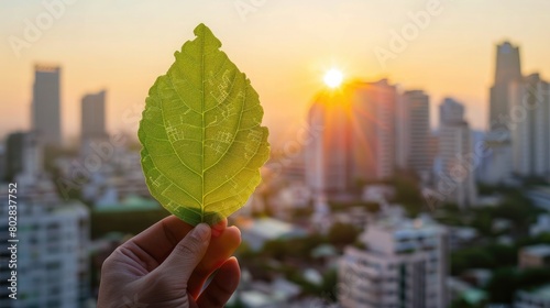 A hand holding a vibrant green leaf with a transparent overlay of urban blueprints, symbolizing eco-friendly urban planning, against a soft-focus cityscape at dawn © ULTRAWORKS