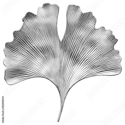 Silver gingko leaf