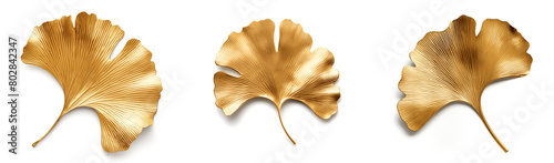 Set of gold gingko leaves with shadow isolated on white background