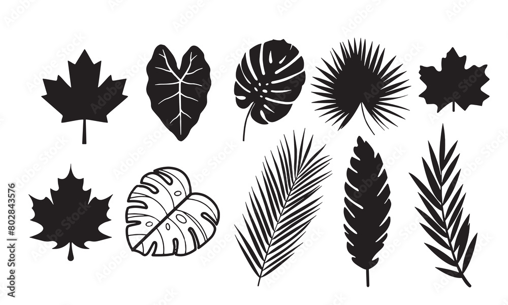 Collection of Tropical Leaves, Monstera leaves, maple leaf, palm leaves Silhouette Vector plant foliage. Collection of Tropical Leaves, Monstera leaves, maple leaf, palm leaves Silhouette Vector plant foliage.